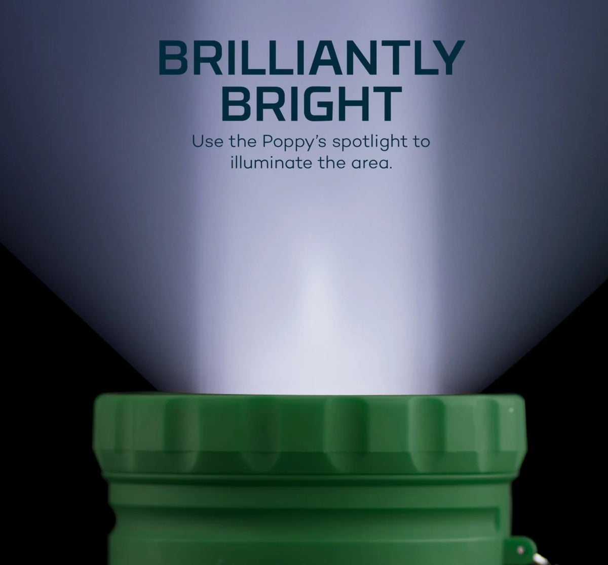 Poppy LED Lantern & Spotlight